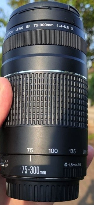 Об'єктив: Canon 75-300 1:4-5.6 III. Харків - фото 3