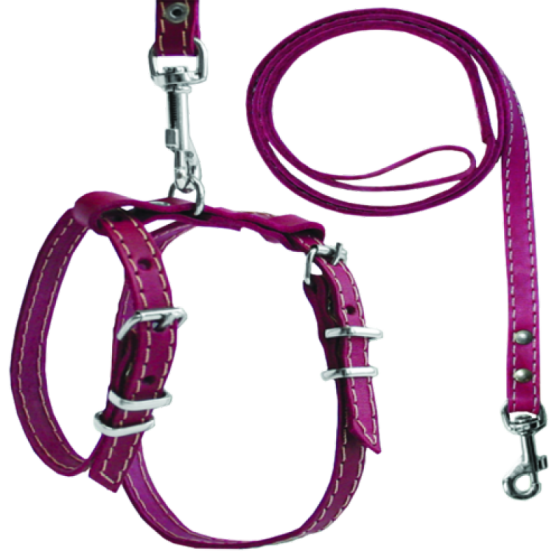 766 Комплект "КЛАСИК" кролик Вінниця