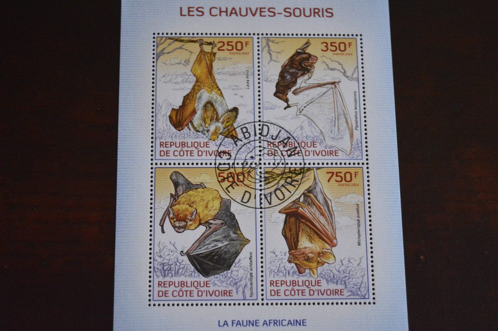 Кот Дивуар. Малый лист. 2014 год. Фауна (Б) Полтава - изображение 1