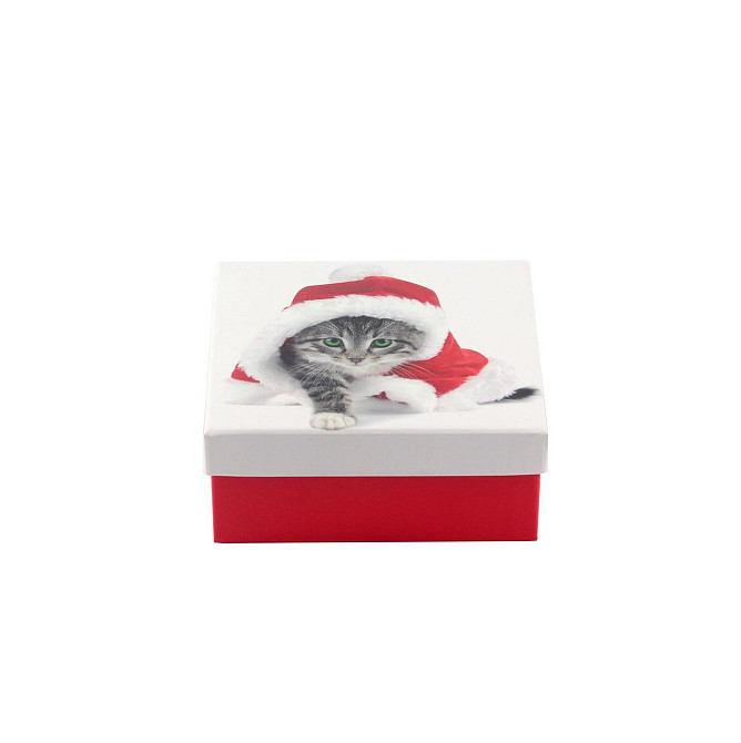 Коробка подарункова ООТВ Santa Cat 14 х 14 х 8 см Рівне - фото 2