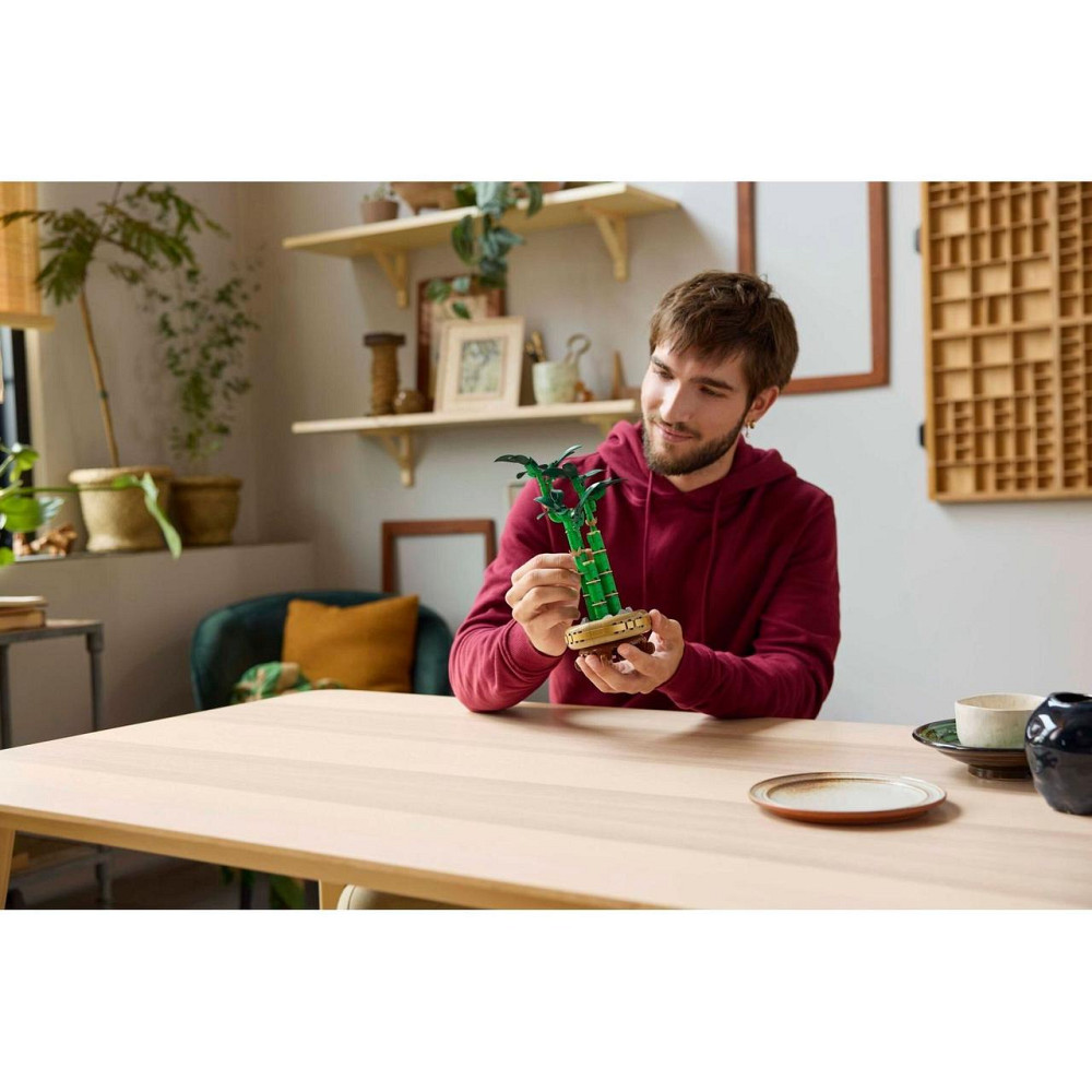 Конструктор Botanicals Драцена сандера 325 деталей (10344), совместимый с lego лего Киев - изображение 8