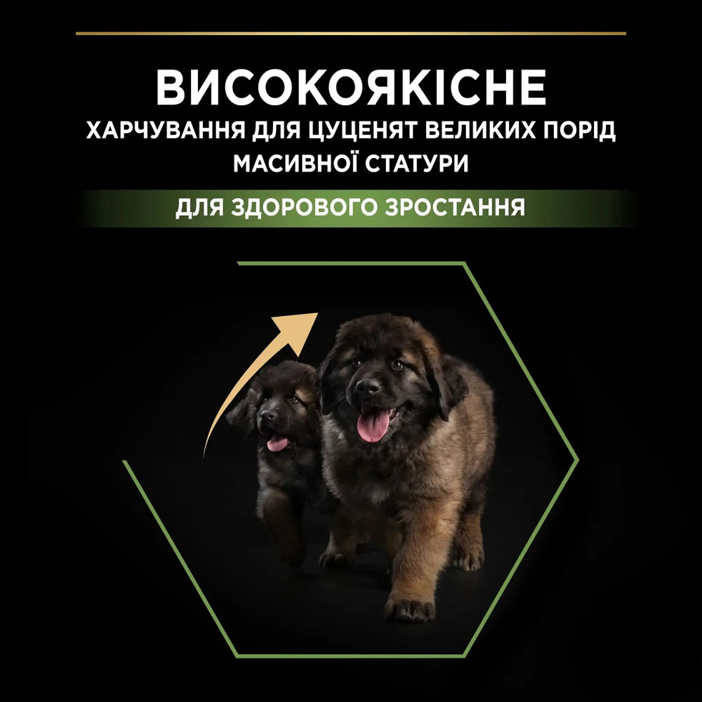 Сухий корм PRO PLAN Large Robust Puppy  Київ - фото 5