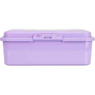 Ланч-бокс детский Economix SNACK 750 мл, сиреневый (E98382) Винница
