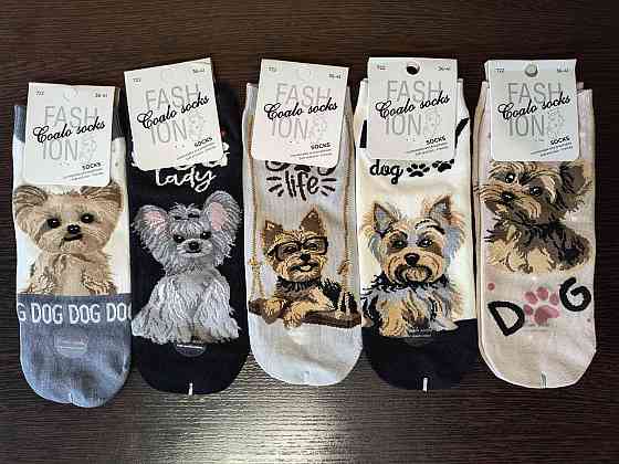 Шкарпетки жіночі із собачками. У наборі з 5 шт. Яскраві жіночі шкарпетки з приколами. Coalo socks. Розмір 36-41 Київ