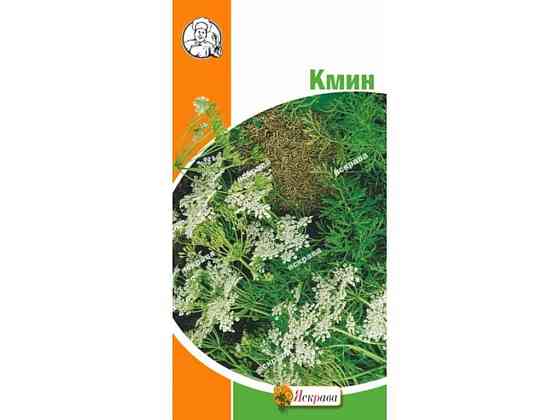Кмин (20 пачок) 2г ТМ ЯСКРАВА Киев