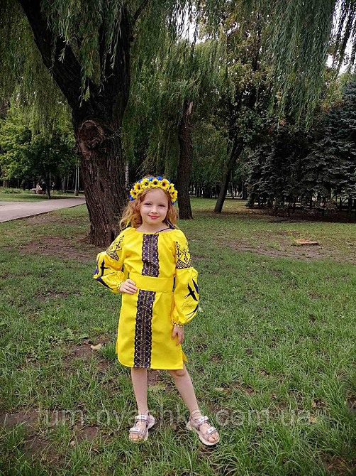 Дитяча вишита сукня з ластівками 104-152 Кривой Рог - изображение 3