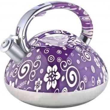 Чайник из нержавеющей стали с пищалкой, Красивый чайник для плит для газовых плит VK-45 Львов