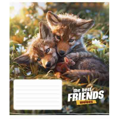 Зошит Школярик The best friends 12 аркушів клітинка (012-3434K) Вінниця
