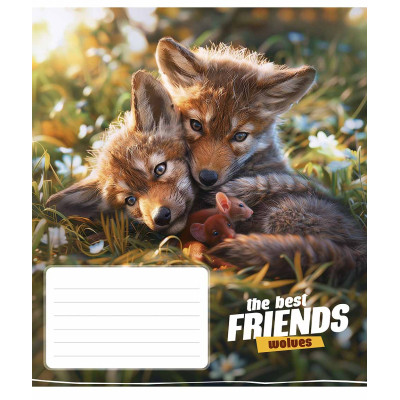 Зошит Школярик The best friends 12 аркушів клітинка (012-3434K) Вінниця - фото 3