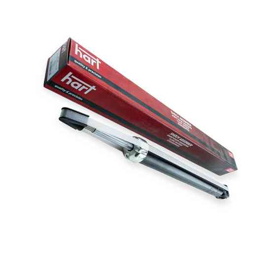 Амортизатор Форд Фокус (98-04) задний Мукачево