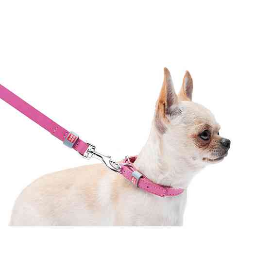 Нашийник для собак шкіряний WAUDOG Classic, Ш 12 мм, Дов 19-25 см рожевий Коломия