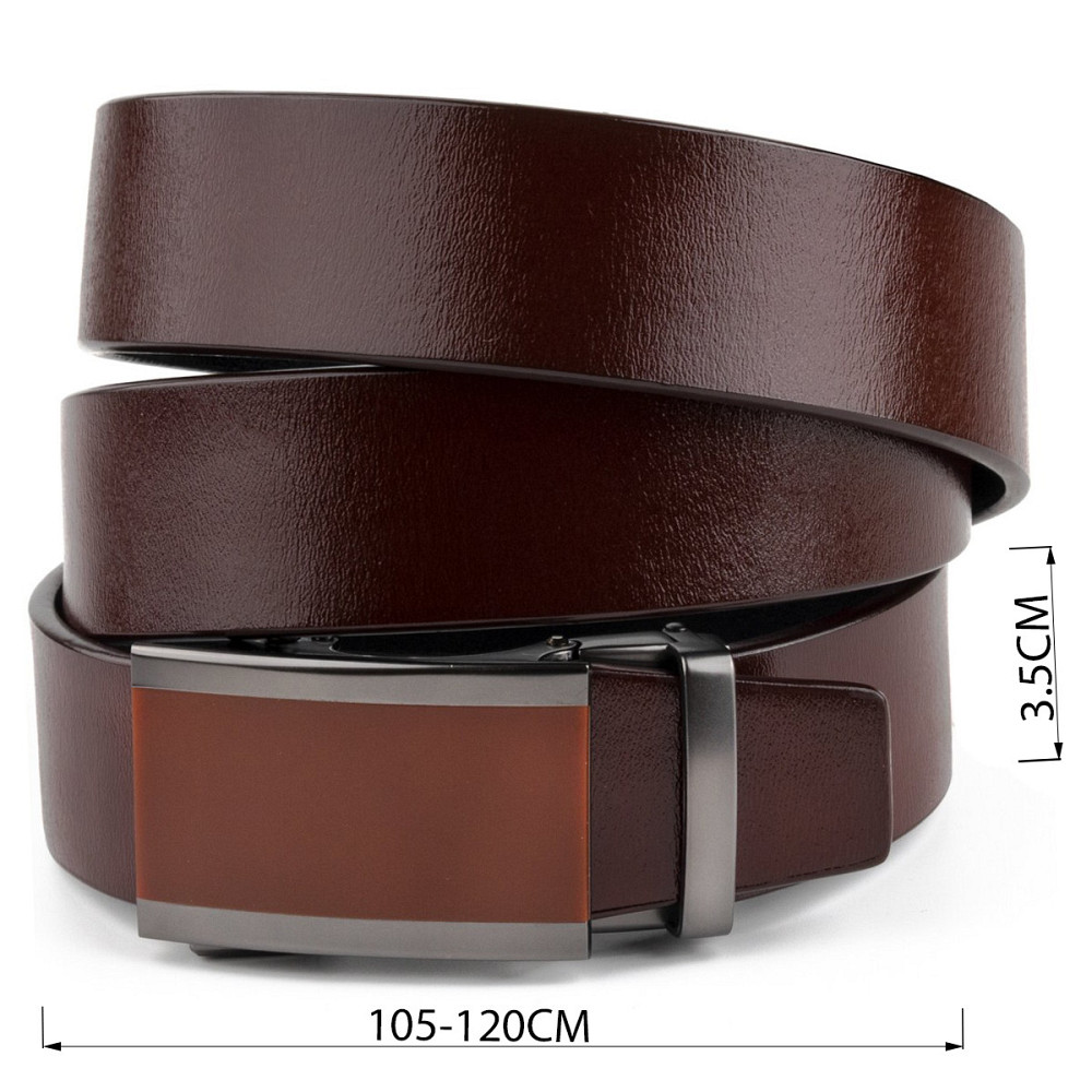 Ремінь чоловічий з коричневою вставкою на пряжці Vintage 20286 Коричневий Київ - фото 3