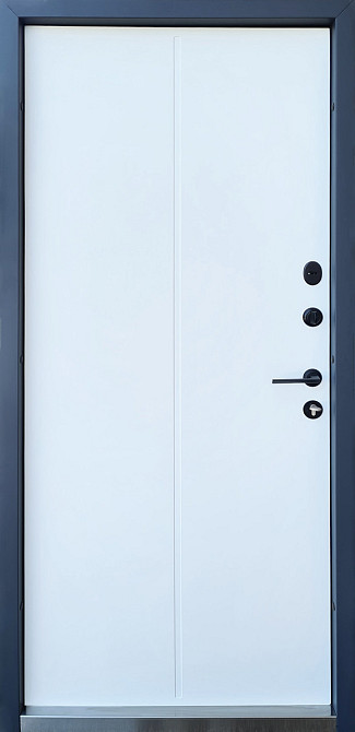 Дверь уличная модель LAMA LINE, антрацит/белое дерево 860 Киев - изображение 2