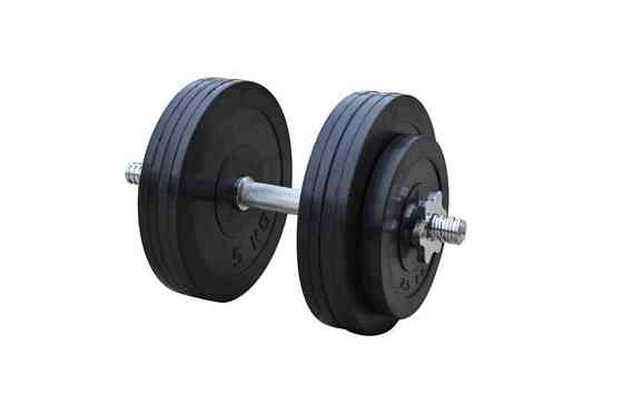 Гантель обгумована набірна Одна на 23 кг Гантелі, гирі, штанги та диски металеві Київ