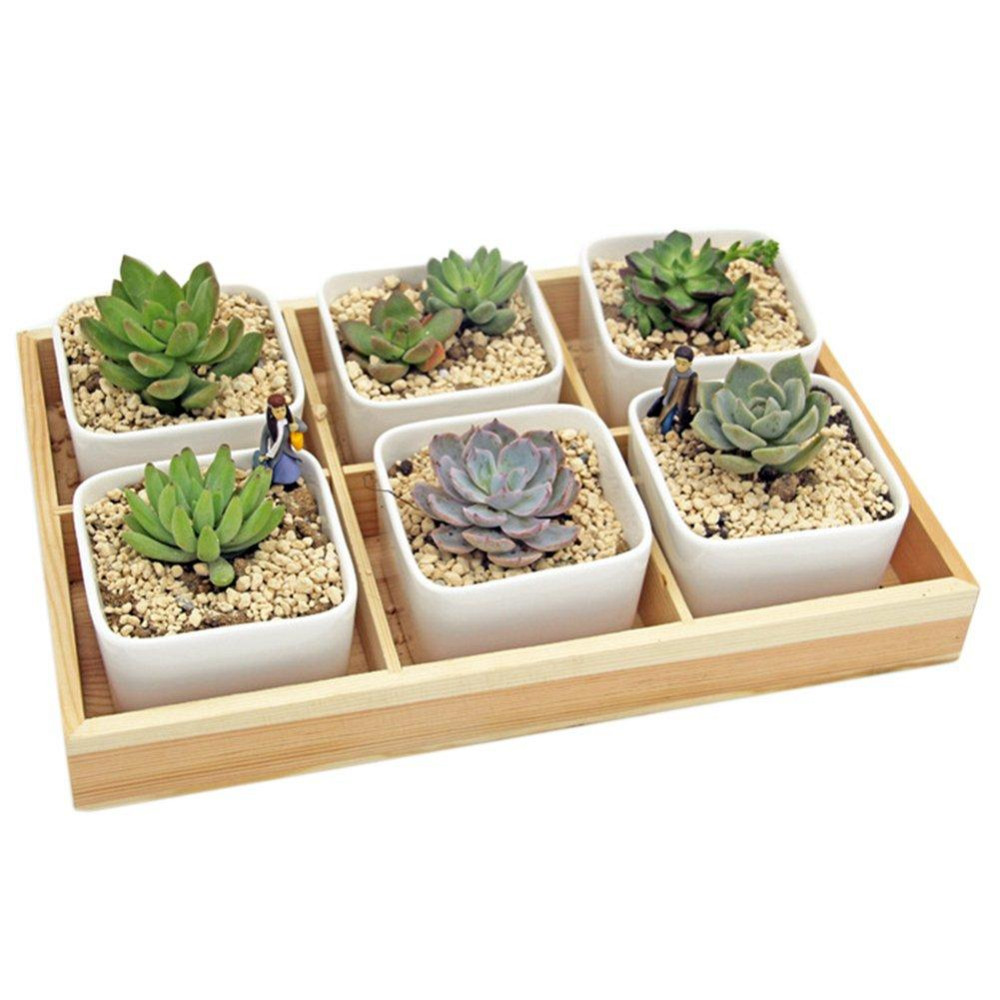 Кашпо "Таволга 6" бланже Миколаїв - фото 1