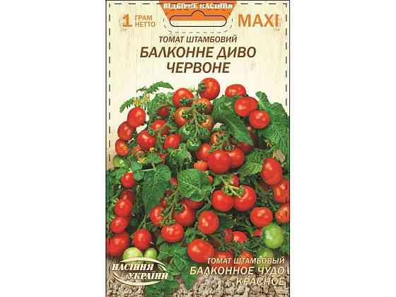 Макси Томат Штамбовый БАЛКОННОЕ ДЫВО ЧЕРВОНОЕ 1г (10 пачек) ТМ НАСИТАНИЕ УКРАИНЫ Киев