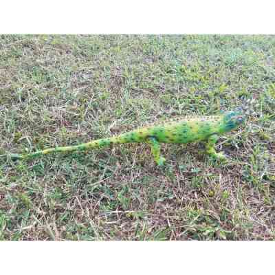 Фигурка Lanka Novelties Хамелеон Джексона, 58 см (21548) Винница