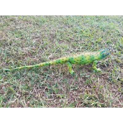 Фигурка Lanka Novelties Хамелеон Джексона, 58 см (21548) Винница - изображение 3