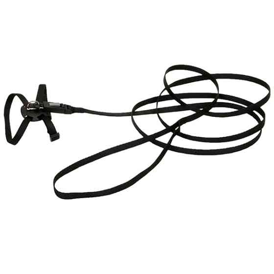 Coastal Li`l Pals КОСТАЛ ЛІТТЛ ПЕЛС шлея з повідцем для котів, 0.9х25см Київ