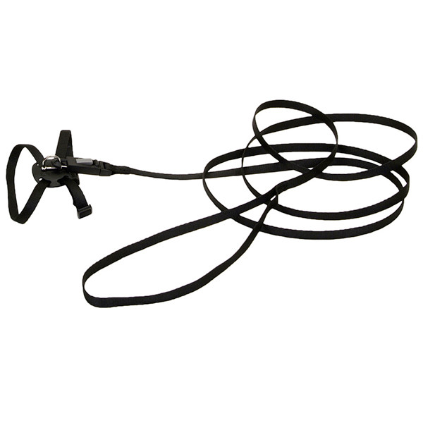 Coastal Li`l Pals КОСТАЛ ЛІТТЛ ПЕЛС шлея з повідцем для котів, 0.9х25см Київ - фото 1