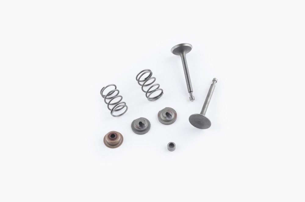 Клапани (пара, у зборі) мотоблок 168F/170F (6,5/7Hp) (D-25/H-64, D-24/H-62) Мукачево - фото 1