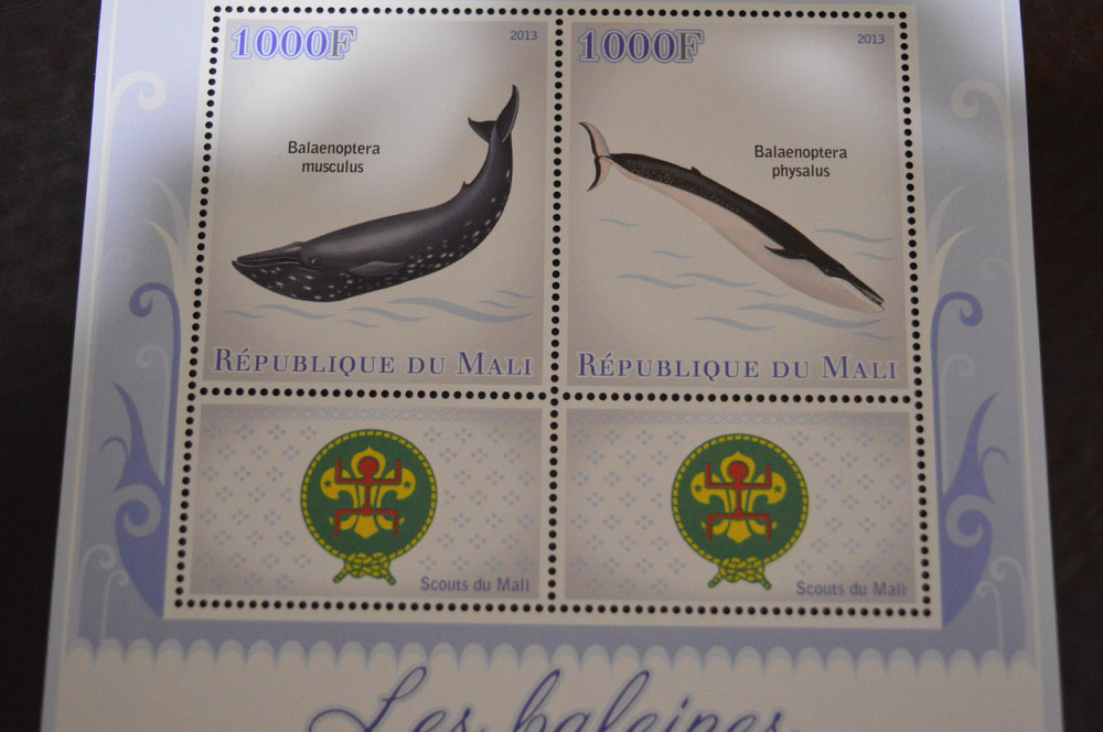 Мали. Фауна. Блок. 2014 год (А-20) Полтава - изображение 1