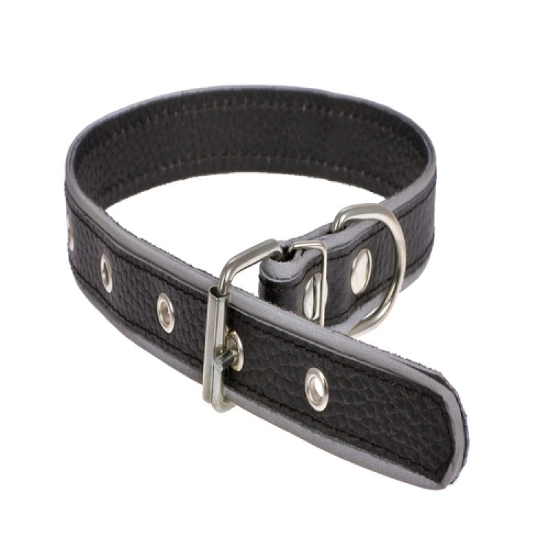 Нашийник 327 25мм "Класик" з світловідбиваючої стрічкою Вінниця - фото 1