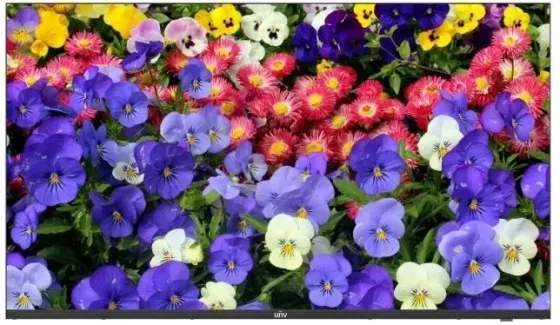 Монитор Uniview 43