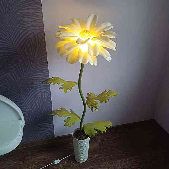 Мініторшер_Ромашка Дніпро