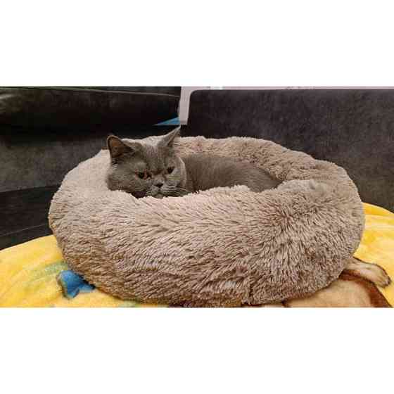 Лежанка для кошек и собак «Ворс» XL (70см), Капучино Киев