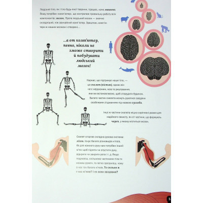 Книга Тіло людини - Кристина Перабоні Жорж (9786177853199) Винница - изображение 12