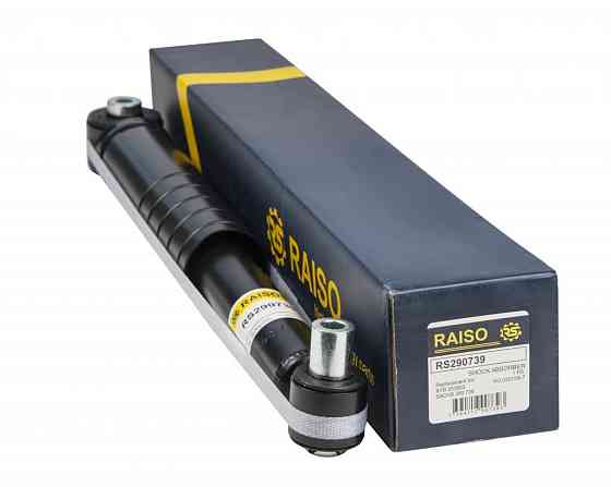 Амортизатор задній Renault Laguna II 01- (газ) (4853169635) Київ