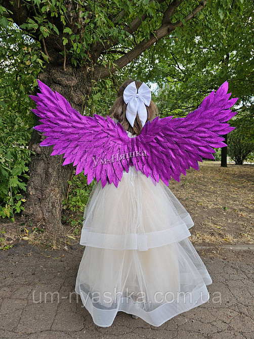 Крила великі Кривий Ріг - фото 5