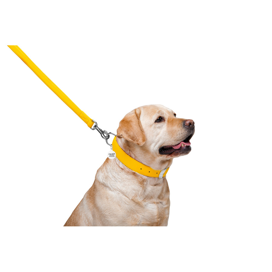 Повідець для собак шкіряний WAUDOG Glamour, Ш 25 мм, Дов 122 см жовтий Коломия - фото 8