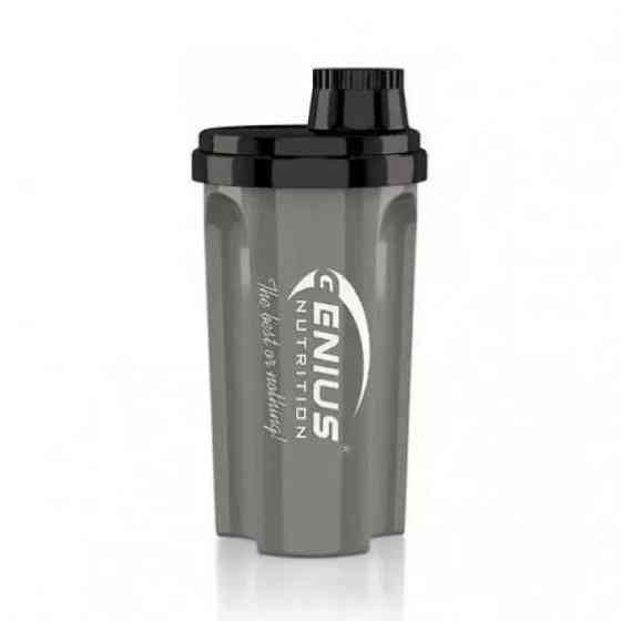 Royal Shaker 500ml (Black/grey) Луцьк