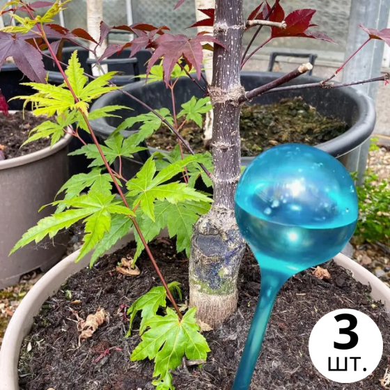 Колба для автоматичного поливу | Вазон у вигляді кулі для саду, 3шт, крапельний автополив, 8×25см, синій Кам'янець-Подільський