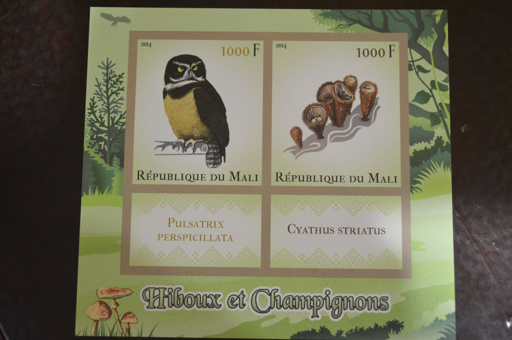 Малі. Марки. Фауна. Блок. 2013 рік (В-3) Полтава - фото 1