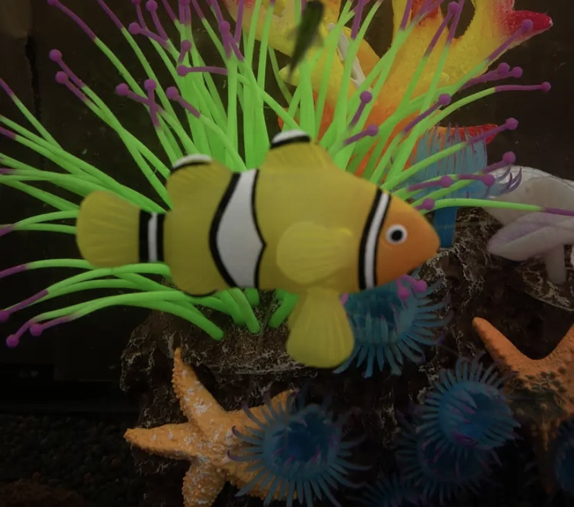 Штучна рибка Клоун Червона Голова силіконова та люмінесцентна 4 на 6 см жовтий Київ - фото 1