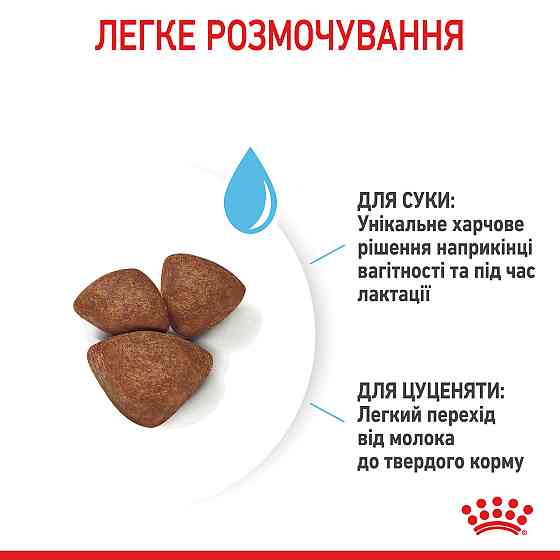 Cухий корм для новонароджених цуценят мініютюрних порід ROYAL CANIN MINI STARTER 1 кг Київ