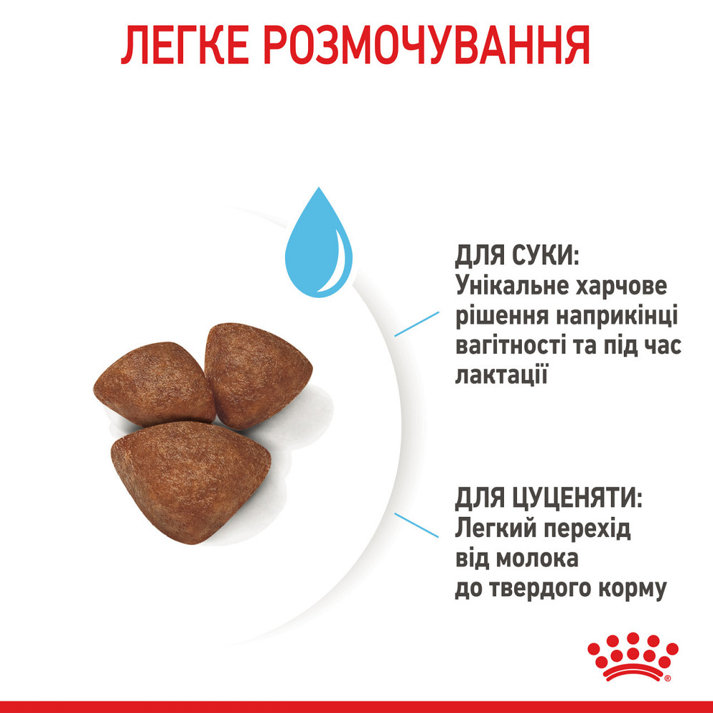 Cухий корм для новонароджених цуценят мініютюрних порід ROYAL CANIN MINI STARTER 1 кг Київ - фото 5