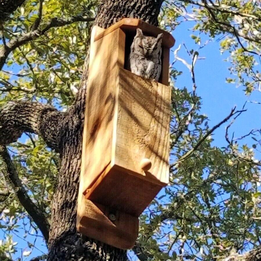 Домик для совы 