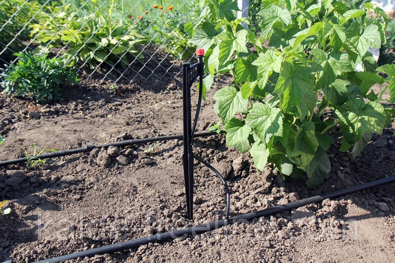 Крапельниця садова Presto-PS регульована 0-70 л/год (AOD-0170) Харьков - изображение 9