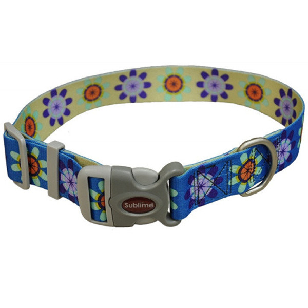 Coastal Sublime КОСТАЛ СУБЛІМ нашийник для собак, 2.5x46см Київ - фото 1