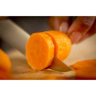 Кухонний ніж Tefal Ice Force 11 см (K2320914) Вінниця