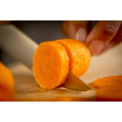 Кухонний ніж Tefal Ice Force 11 см (K2320914) Вінниця - фото 6