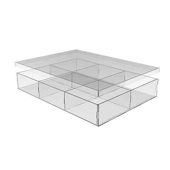 Коробка акриловая EKOSTAR 400х300х60 6 ячеек с крышкой Киев