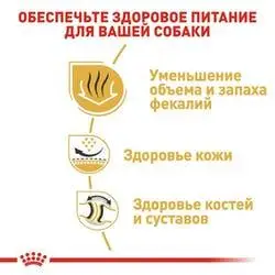 Royal Canin Bulldog Adult (Роял Канін Бульдог Едалт) сухий корм для англійських бульдогів від 12 місяців 12 кг Запоріжжя