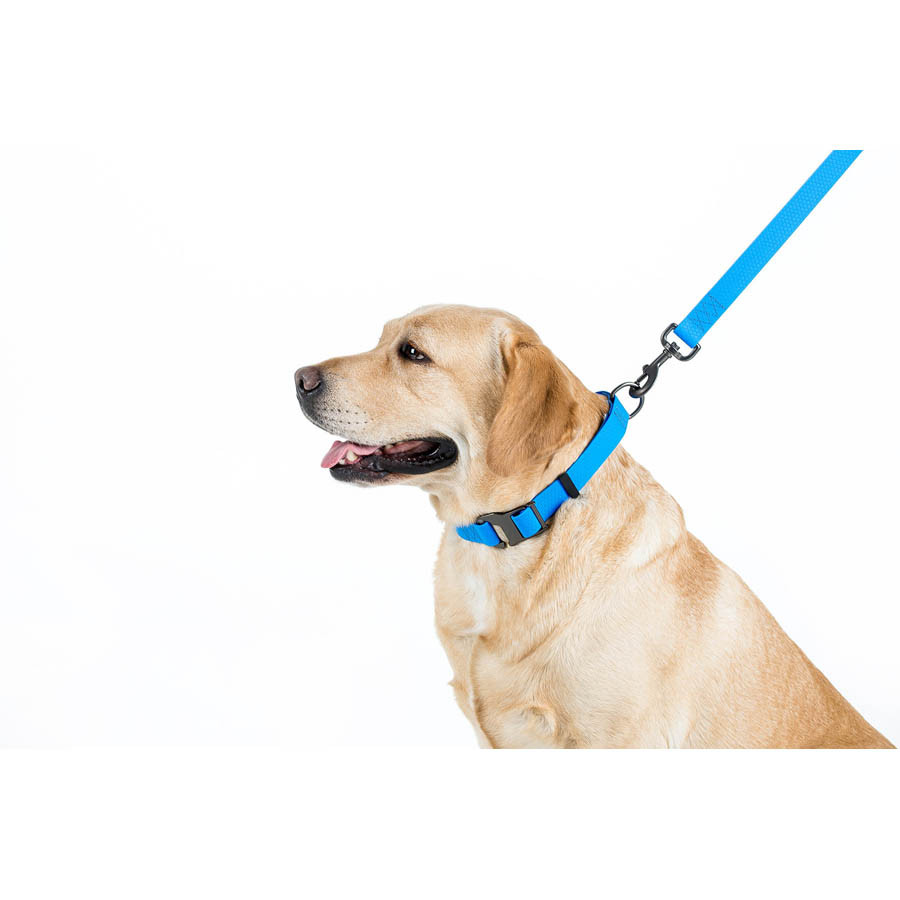 Повідець для собак водостійкий WAUDOG Waterproof, L-XXL, Ш 25 мм, Дов 122 см блакитний Коломыя - изображение 4