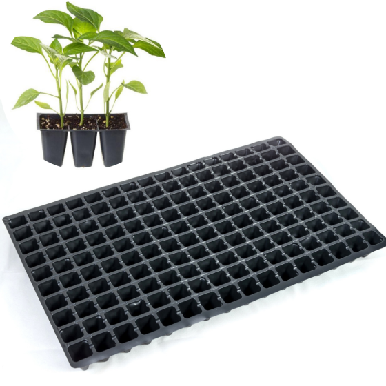 Касета для розсади 60*40 см 160 комірки Дніпро