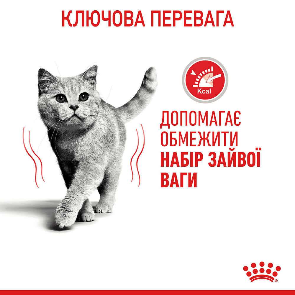 Корм для кошек ROYAL CANIN LIGHT WEIGHT CARE 1.5 кг, рекомендованный для ограничения набора лишнего веса Киев - изображение 4